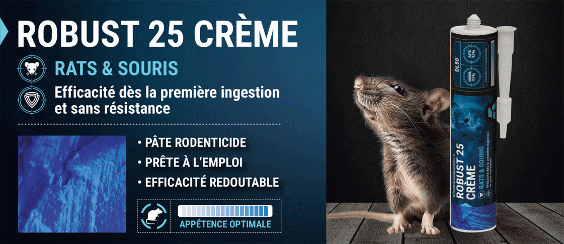 Nouveau Robust 25